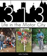 313