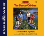 The Panther Mystery