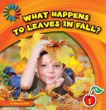 What Happens To Leaves In Fall?