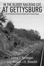 In the Bloody Railroad Cut at Gettysburg