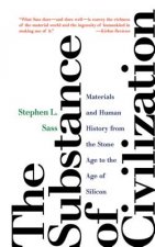 Substance of Civilization
