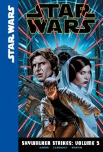 Skywalker Strikes