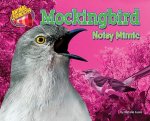 Mockingbird