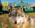 A Wolf’s Life