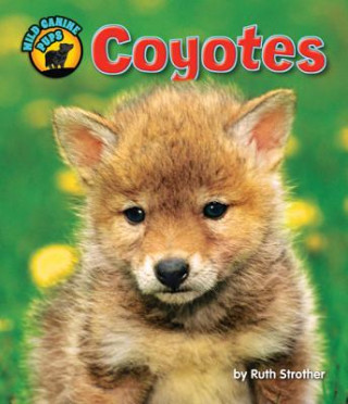 Coyotes