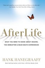 AFTERLIFE