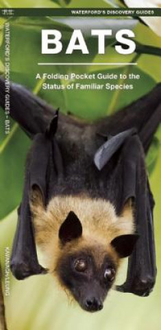 Waterford's Discovery Guide Bats