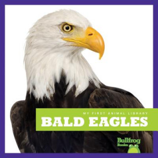 Bald Eagles