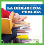 La biblioteca pública/ Public Library
