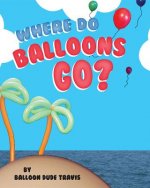 Where Do Balloons Go?