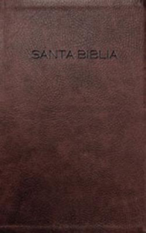 Santa Biblia