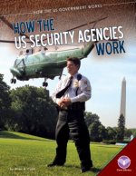 How the US Security Agencies Work