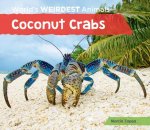 Coconut Crabs