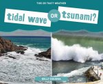 Tidal Wave or Tsunami?