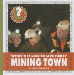 Mining Town