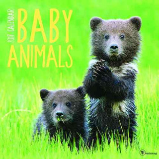 Baby Animals 2017 Calendar