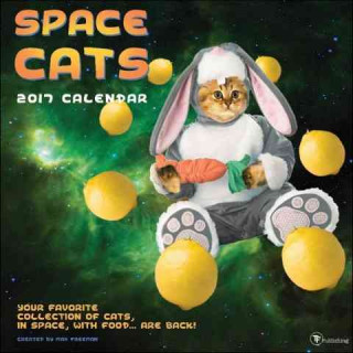Space Cats 2017 Calendar