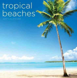 Tropical Beaches 2017 Calendar