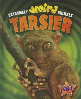 Tarsier