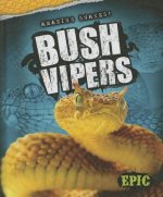 Bush Vipers