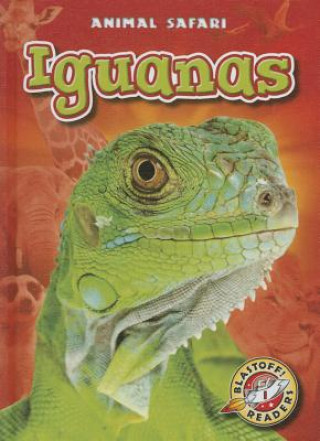 Iguanas