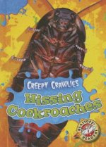 Hissing Cockroaches