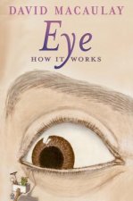Eye