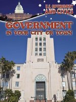 Government in Your City or Town