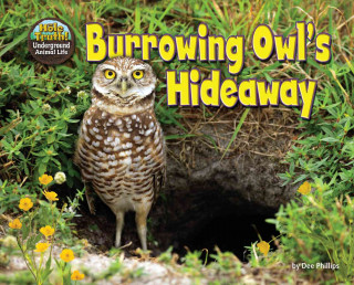 Burrowing Owl's Hideaway