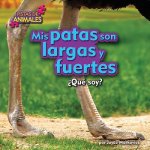 Mis patas son largas y fuertes / My Legs Are Long and Strong