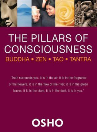 The Pillars of Consciousness