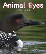 Animal Eyes