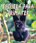 Escuela para primates / Primate School
