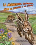 La asombrosa carrera entre la tortuga y la liebre /The Tortoise and Hare's Amazing Race