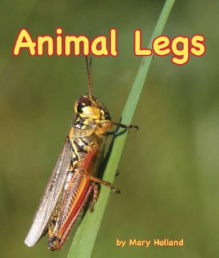 Animal Legs