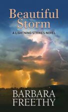 Beautiful Storm
