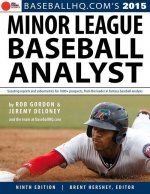 2015 Minor League Baseball Analyst