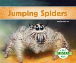 Jumping Spiders