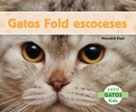 Gato fold escoces / Scottish Fold Cats