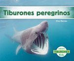 Tiburon peregrino / Basking Sharks