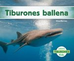 tiburon ballena / Whale Sharks