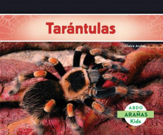 Tarantulas / Tarantula Spiders