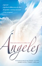 Una Guía esencial para los ángeles / An essential guide for angels