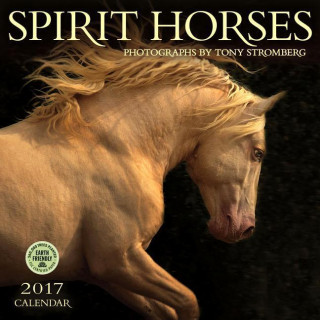 Spirit Horses 2017 Calendar