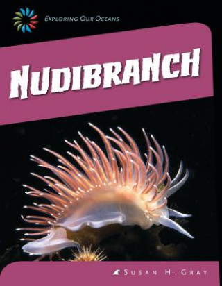 Nudibranch