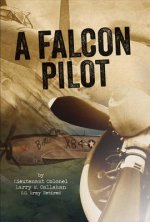 Falcon Pilot