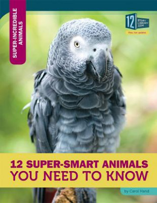 12 Super-Smart Animals You Need to Know