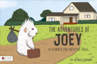 The Adventures of Joey