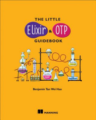 Little Elixir & OTP Guidebook