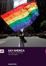 Gay America